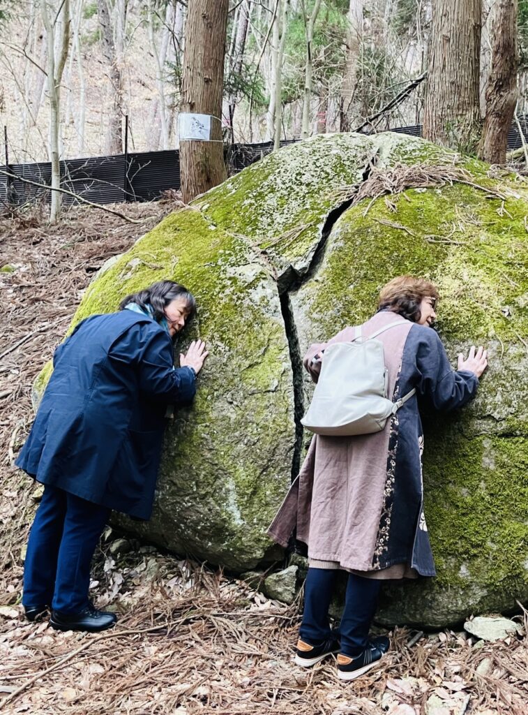 心と体を癒す里山散策とリラクゼーションの旅